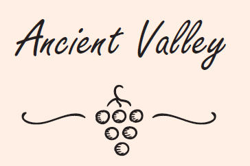 Logo Ancient valley