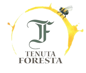 Logo Tenuta Foresta – Isola d’Asti